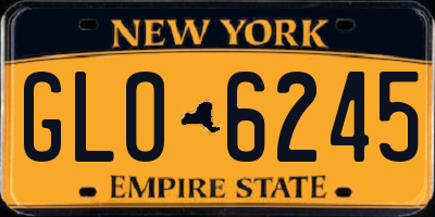 NY license plate GLO6245