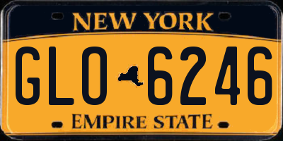 NY license plate GLO6246
