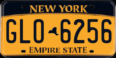 NY license plate GLO6256
