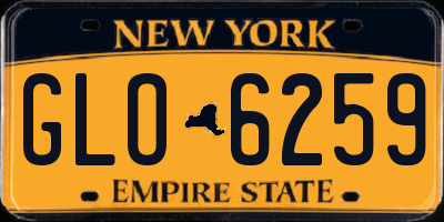 NY license plate GLO6259