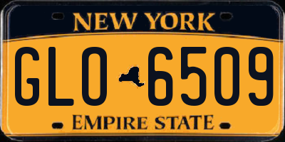 NY license plate GLO6509