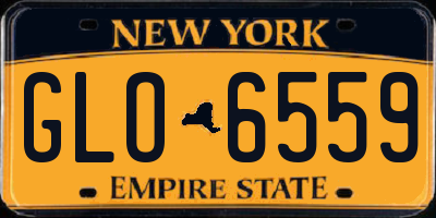 NY license plate GLO6559