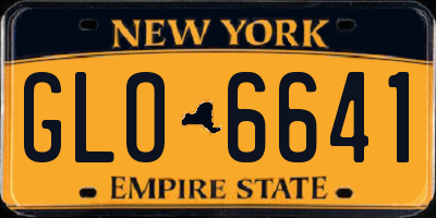 NY license plate GLO6641