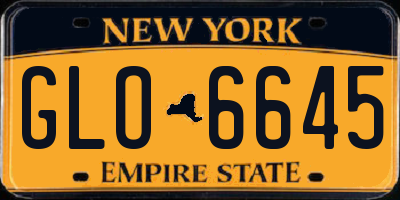 NY license plate GLO6645