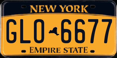 NY license plate GLO6677