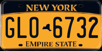 NY license plate GLO6732