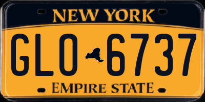 NY license plate GLO6737