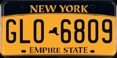 NY license plate GLO6809