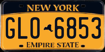 NY license plate GLO6853