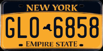 NY license plate GLO6858