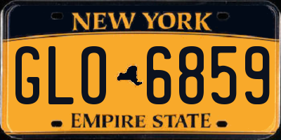 NY license plate GLO6859