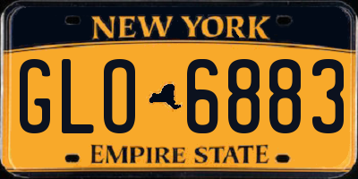 NY license plate GLO6883