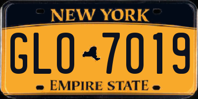 NY license plate GLO7019