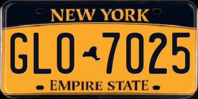 NY license plate GLO7025