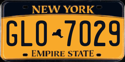 NY license plate GLO7029