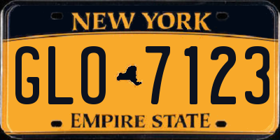 NY license plate GLO7123