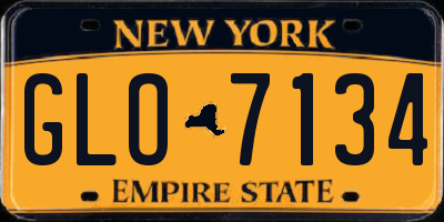 NY license plate GLO7134