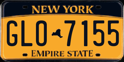 NY license plate GLO7155