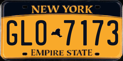 NY license plate GLO7173