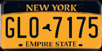 NY license plate GLO7175