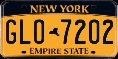 NY license plate GLO7202