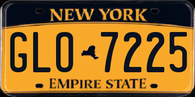 NY license plate GLO7225