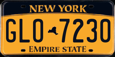 NY license plate GLO7230