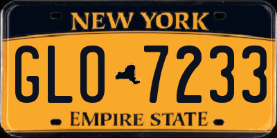 NY license plate GLO7233