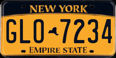 NY license plate GLO7234
