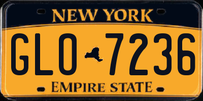 NY license plate GLO7236