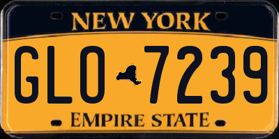 NY license plate GLO7239