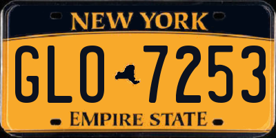 NY license plate GLO7253