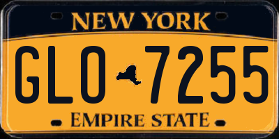 NY license plate GLO7255