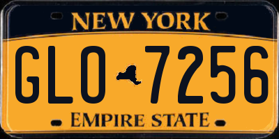 NY license plate GLO7256