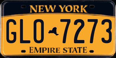 NY license plate GLO7273
