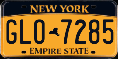NY license plate GLO7285