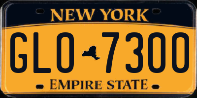 NY license plate GLO7300