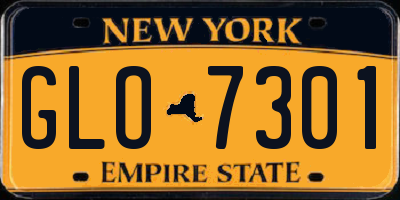 NY license plate GLO7301