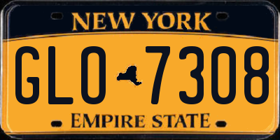 NY license plate GLO7308