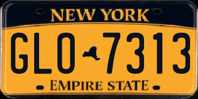 NY license plate GLO7313