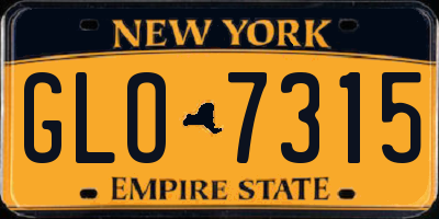 NY license plate GLO7315