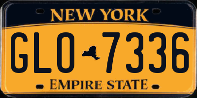 NY license plate GLO7336