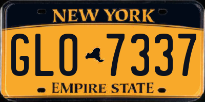 NY license plate GLO7337
