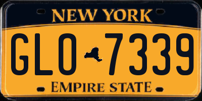 NY license plate GLO7339