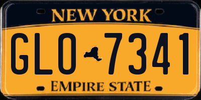 NY license plate GLO7341