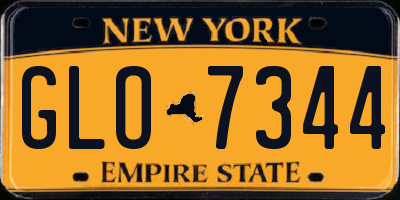 NY license plate GLO7344