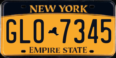 NY license plate GLO7345