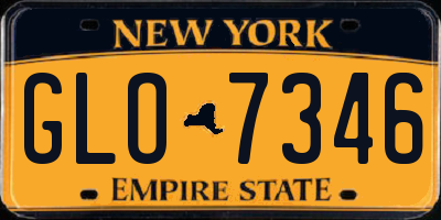 NY license plate GLO7346