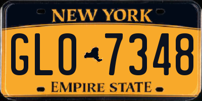 NY license plate GLO7348