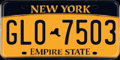 NY license plate GLO7503